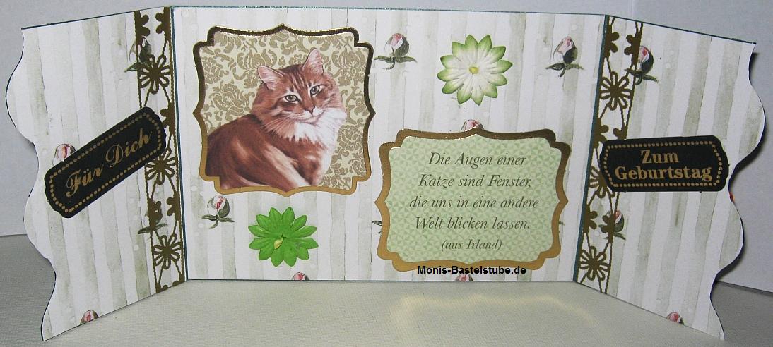 Katzen-und-Blumen-2.jpg
