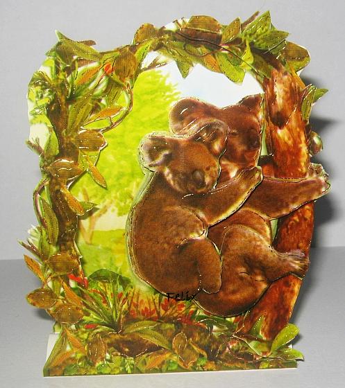 Koala.jpg