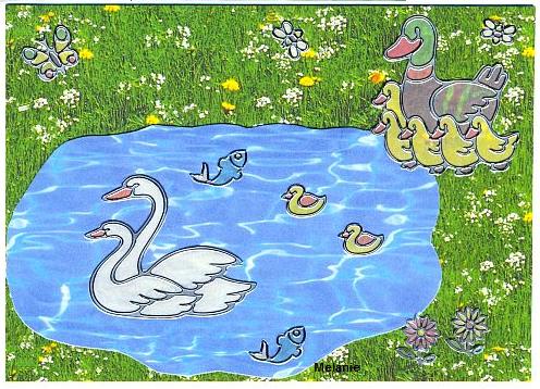 Grußkarte Enten am Teich