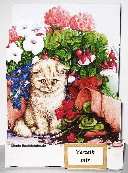 Squeezee-Card-Katze-Occasions.jpg