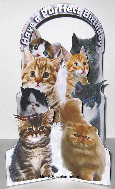 Stretchkarte-Katzen.jpg