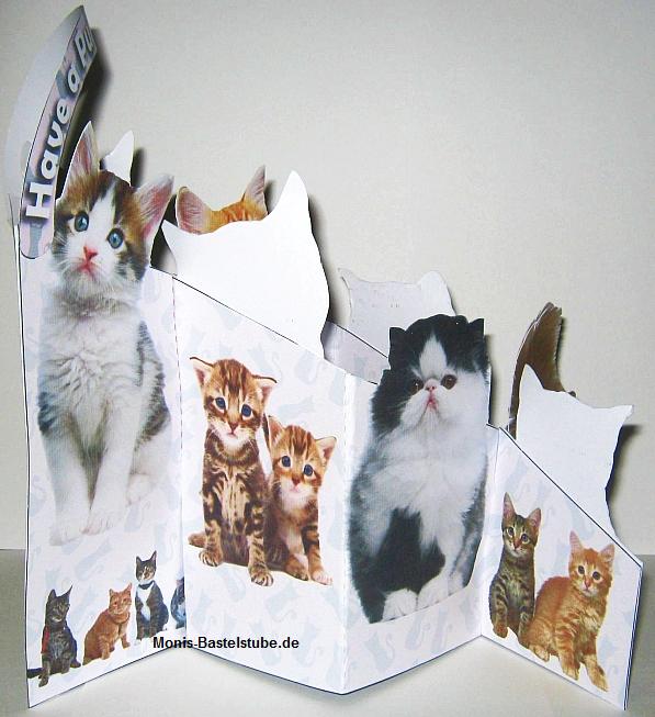 Stretchkarte-Katzen-links.jpg