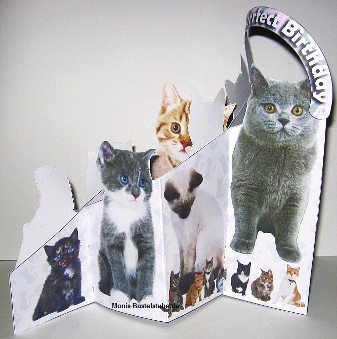 Stretchkarte-Katzen-rechts.jpg