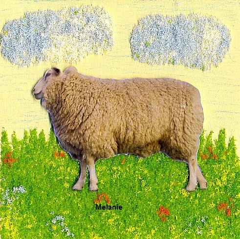 Grußkarte Schaf auf Blumenwiese