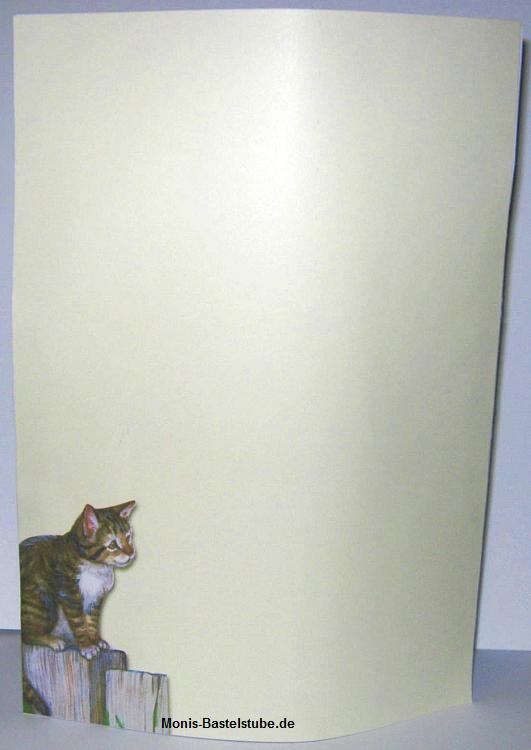 SqueezeeCard-Hallo-Mieze-Rückseite-SqueezeeCards-HoneysuckleandFriends.jpg