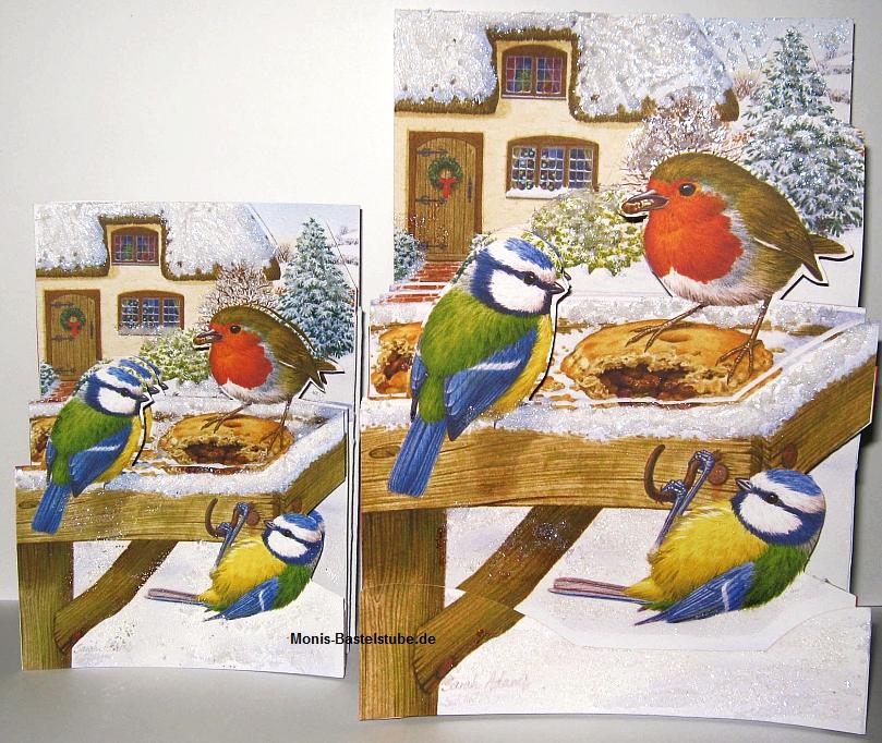 Squeezee-Cards-Vögel-im-Winter-C6-und-A5.jpg