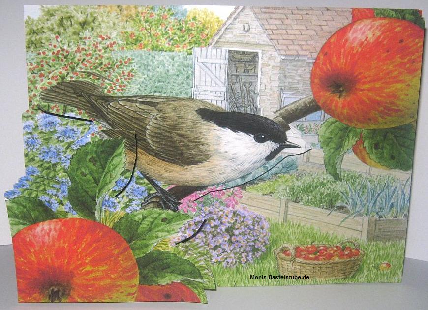 Squeezee-Karte-A4-Vogel-im-Garten-mit-Garden Feathered-Friends-Tiere-im-Garten.jpg