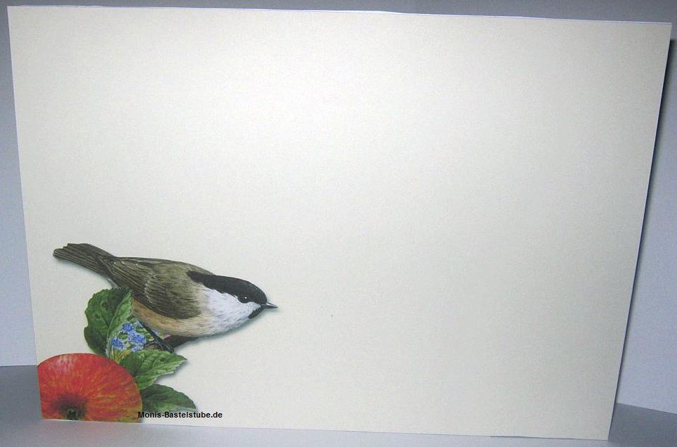 Squeezee-Karte-A4-Vogel-im-Garten-Rückseite-mit-Garden Feathered-Friends-Tiere-im-Garten.jpg