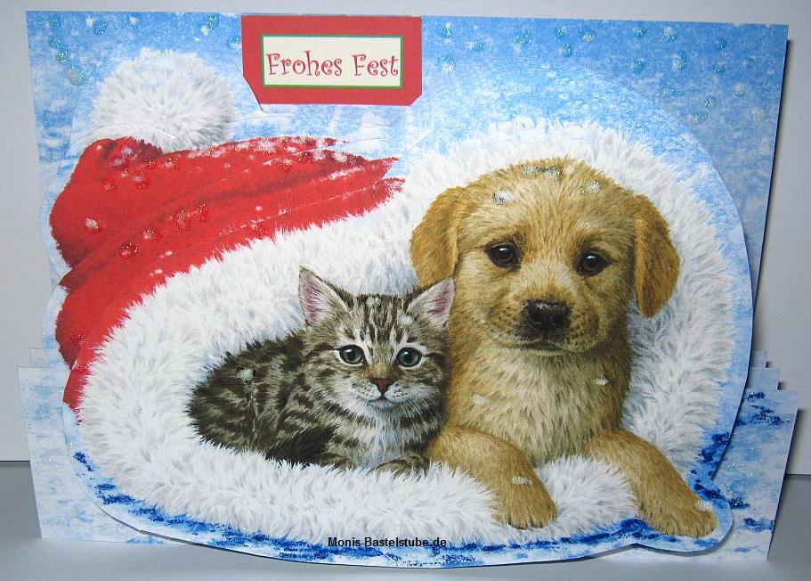Squeezee-Karte-Katze-und-Hund-in-der-Weihnachtsmütze-SqueezeeCards-CatsDogsChristmas.jpg
