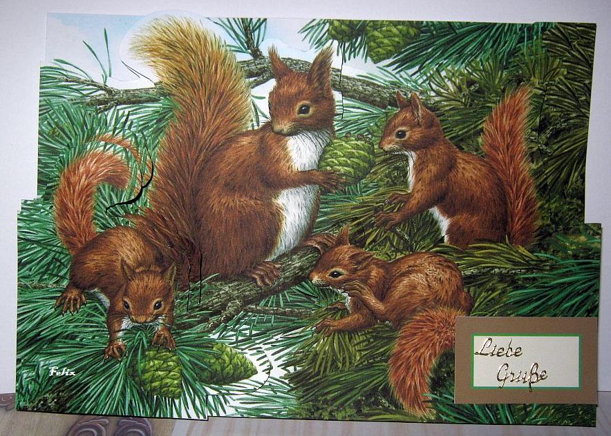 Familie Eichhörnchen.jpg