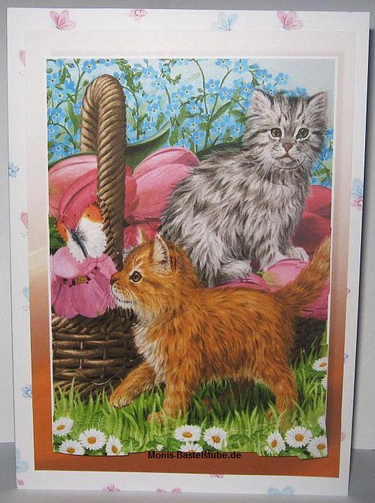 Grußkarte-Katzen-auf-Entdeckungsjagd-Kittens-Puppies-Katzen-Hunde.jpg