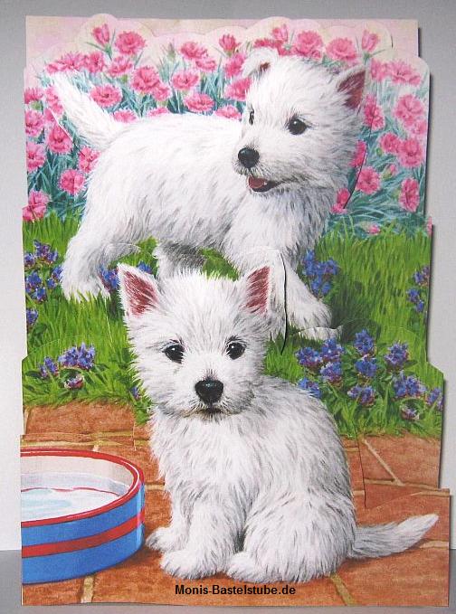 Squeezee-Karte-kleine-Hündchen-Kittens-Puppies- Katzen-Hunde.jpg