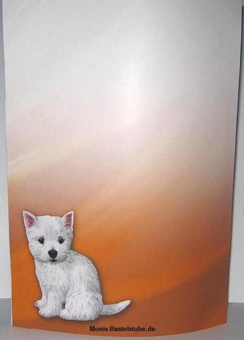 Squeezee-Karte-kleine-Hündchen-Rückseite-Kittens-Puppies-Katzen-Hunde.jpg