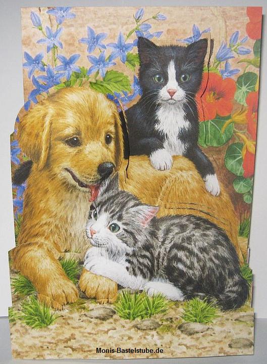Squeezee-Karte-Gute-Freunde-Kittens-Puppies- Katzen-und-Hunde-CD.jpg