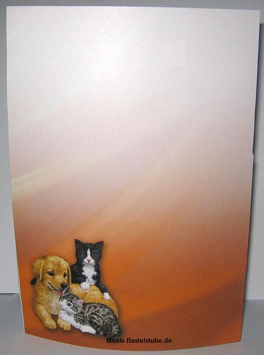 Squeezee-Karte-Gute-Freunde-Rückseite-Kittens-Puppies- Katzen-und-Hunde-CD.jpg