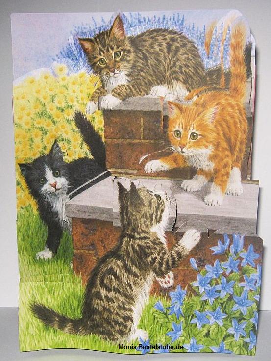 Squeezee-Karte-Katzen-beim-spielen-Kittens-Puppies- Katzen-und-Hunde-CD.jpg