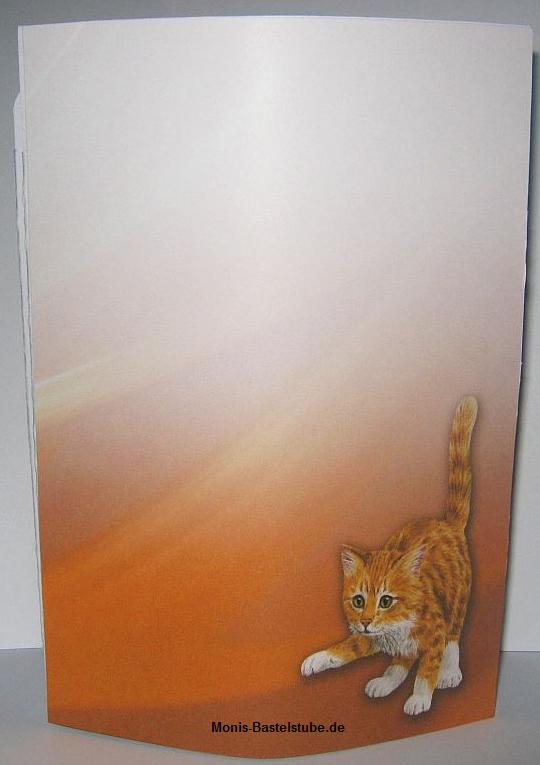 Squeezee-Karte-Katzen-beim-spielen-Rückseite-Kittens-Puppies- Katzen-und-Hunde-CD.jpg