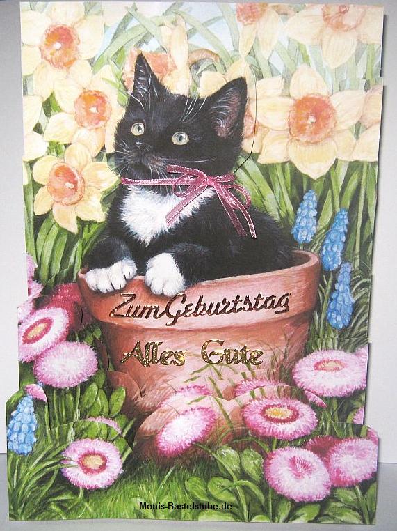 Squeezee-Karte-Geburtstagsgruß-für-eine-Freundin-Kittens-Puppies-Katzen-und-Hunde-CD.jpg