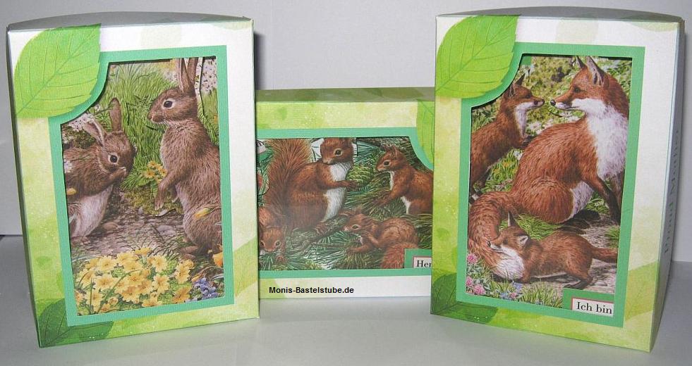 Squeezee-mit-Box-Tiere-im-Wald.jpg