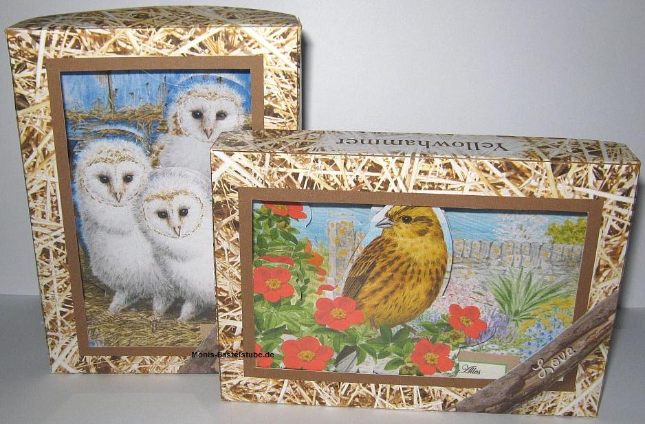 Squeezee-mit-Box-Eule-und-Vogel.jpg