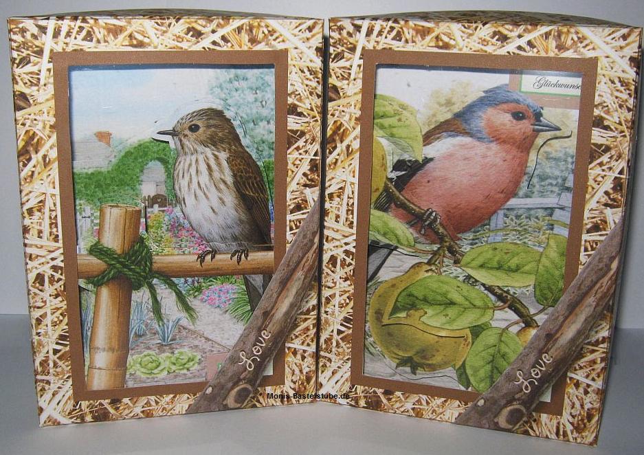 Squeezee-mit-Box-Vögel.jpg