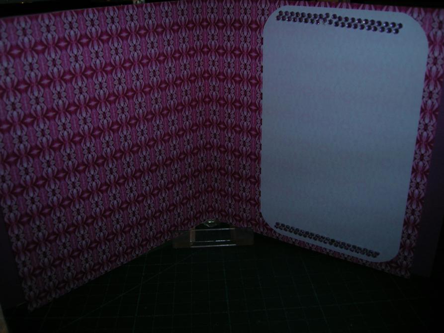 DSCN4889_893x670.jpg