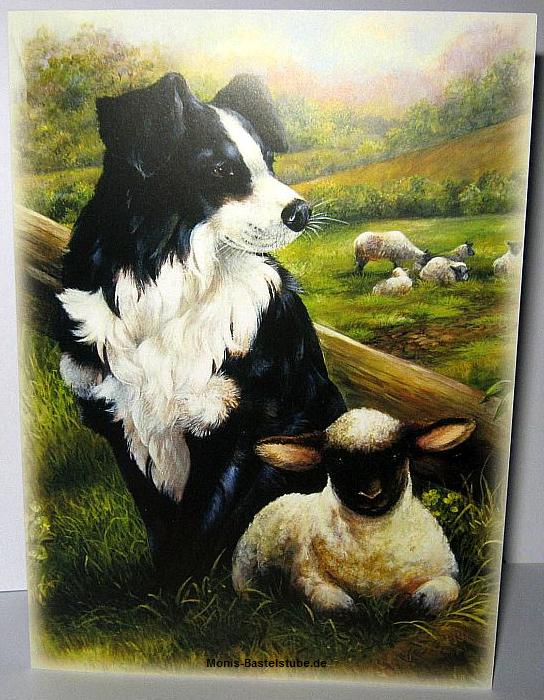Grußkarte-Schäferhund-und-Schafe-Hunkydory-TheLittleBookof-Springtime.jpg