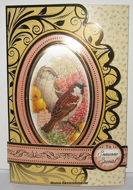 BirdsofBritain-Pretty Pyramount-Wrap Cards-mit-Banderole-Hunkydory..jpg