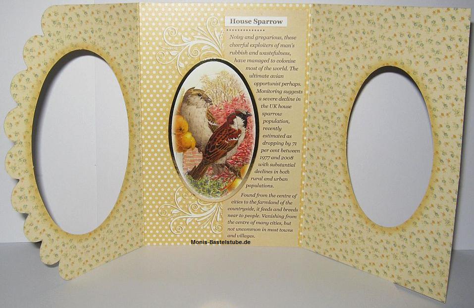 BirdsofBritain-Pretty Pyramount-Wrap Cards-mit-Banderole-Hunkydory. Offen..jpg