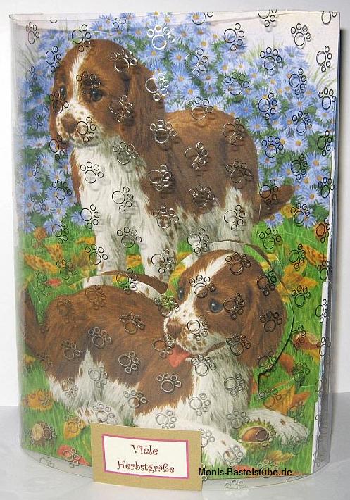 Squeezee-Card-spielende-Hunde-im-Herbst..jpg