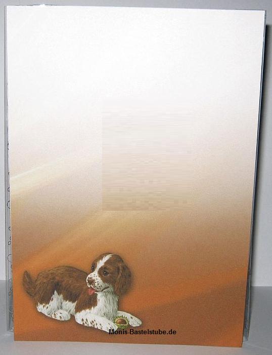 Squeezee-Card-spielende-Hunde-im-Herbst.1.jpg