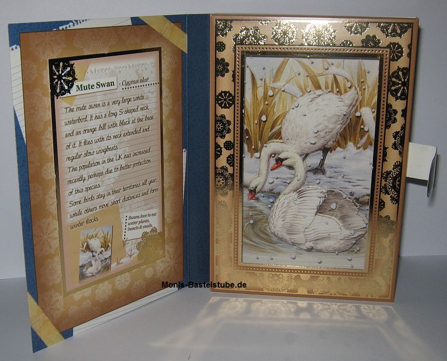 Buchkarten-Tiere-im-Winter-Hunkydory-FestiveBirdsofBritan2.jpg