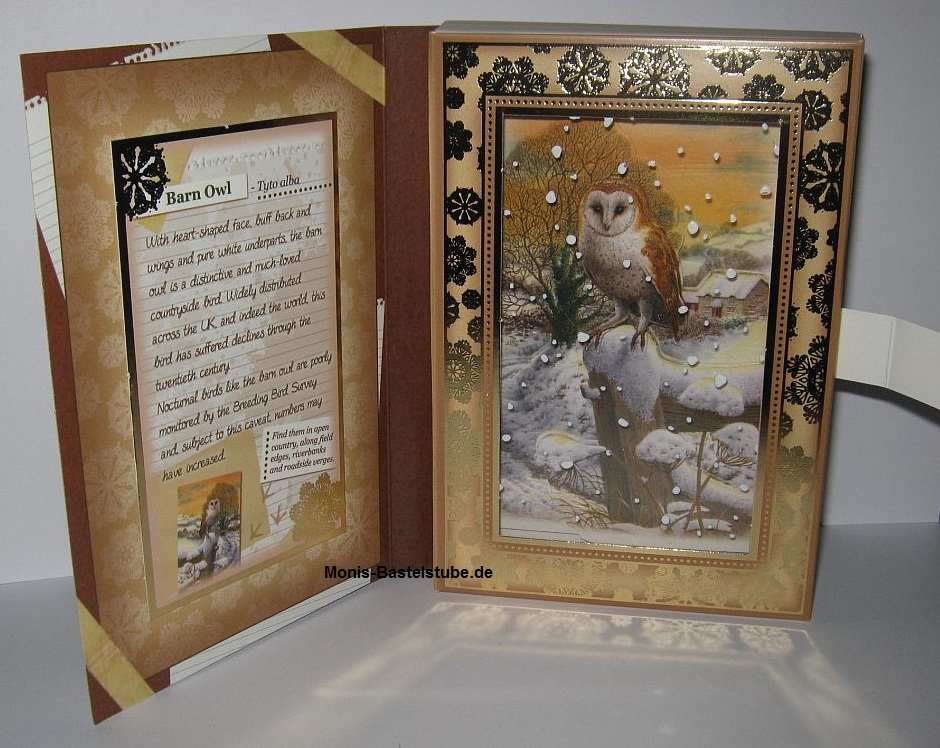 Buchkarten-Tiere-im-Winter-Hunkydory-FestiveBirdsofBritan4.jpg
