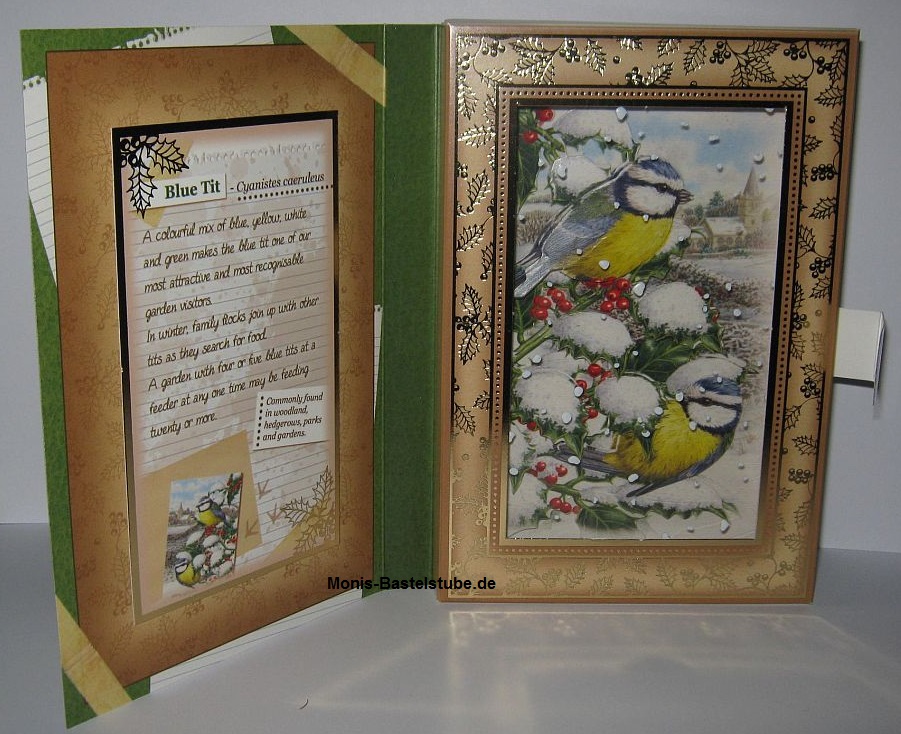 Buchkarten-Tiere-im-Winter-Hunkydory-FestiveBirdsofBritan8.jpg