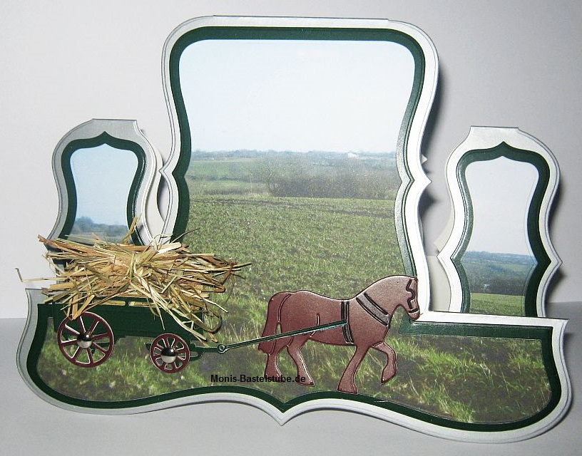 Centre-Stepper-Card-bei-der-Heuernte.jpg