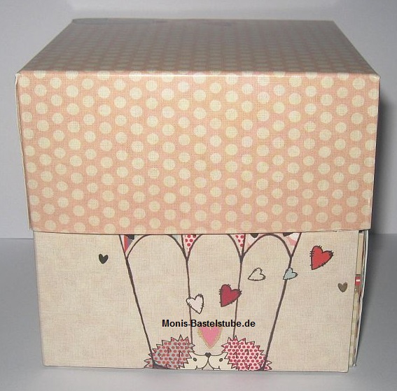 CraftyBitsBox-Aufbewahrungsbox-1.jpg