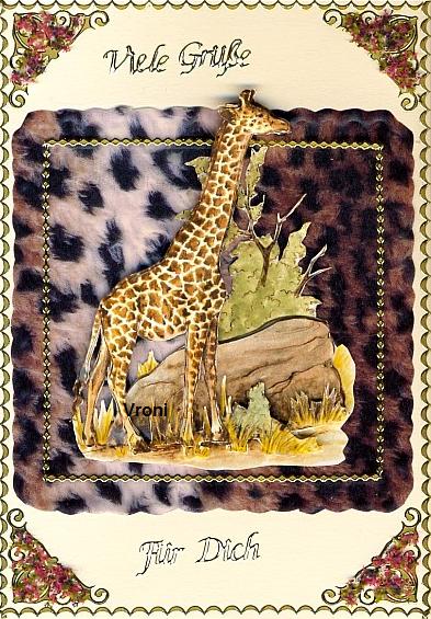 Grußkarte auf Safari / Giraffe