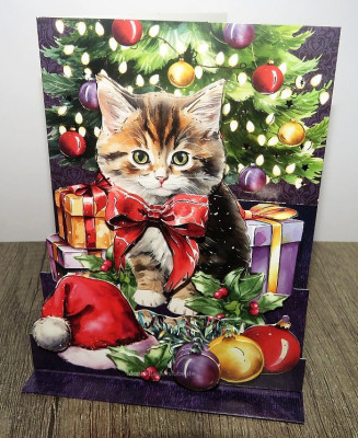 Karte-PopUp-Steppers-Katze-am-Weihnachtsabend.jpg