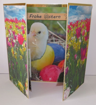 Osterkarte-mit-Blumensamen-1.jpg