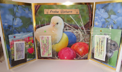 Osterkarte-mit-Blumensamen-2.jpg