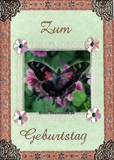 Schmetterling.jpg