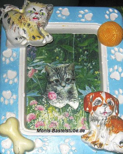 Rahmen-Katze-Hund.jpg